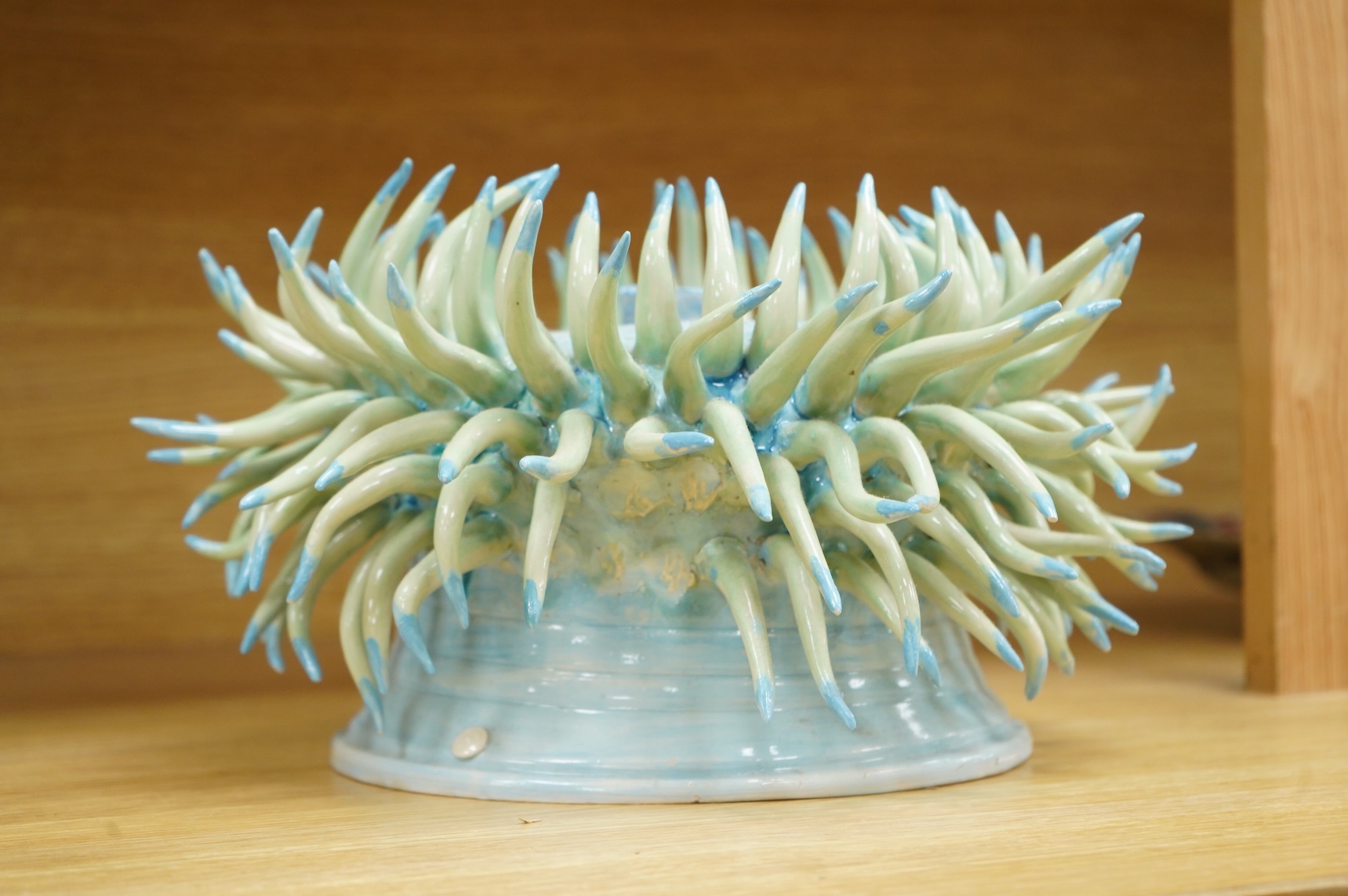 Frances Doherty, a Long Tentacle Anemone ceramic sculpture, 36cm in diameter
